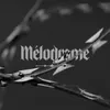 About Mélodrame Song