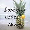 About Sommervibes Song