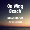 On Wing Beach