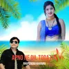 About Apno Ne Dil Toda Hai Song