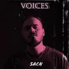 About Voices Song