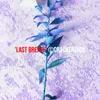 About 'Last Breath' Song