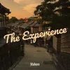 About The Experience Song
