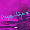 About Crazy Stupid Song