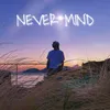 About Never Mind Song