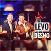 About Levo Desno Song