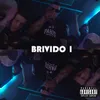 About Brivido 1 Song