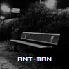 About Ant-Man Song