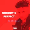 About Nobody's Perfect Song