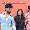 About Ae Bereham Ae Bewafa Song