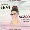 About Teri Nazar Song