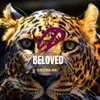 About Beloved (Subliminal Mix) Song