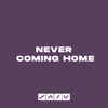 About Never Coming Home Song