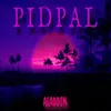 About PiDPAL Song