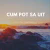 About Cum Pot Sa Uit Song