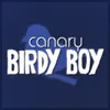 About Birdy Boy Song