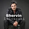 About Delvapasi Song