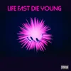 About Life Fast Die Young Song