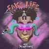 About Fake Life Song