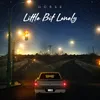 About Little Bit Lonely Song