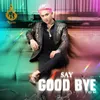 About Say Good Bye Song