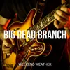 About Big Dead Branch Song