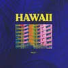 About Hawaii Song