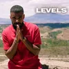About Levels Song