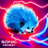 About Sonic Song