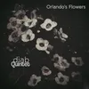 Orlando's Flowers