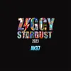 About Ziggy Stardust 2023 Song