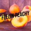 About Feelin Peachy Song