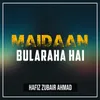 About Maidaan Bularaha Gai Song
