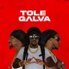 About Tole Galva Song