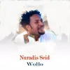 About Wollo Song
