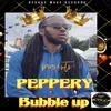 About Bubble Up Song