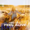 About Feel Alive Song