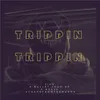 About Trippin Trippin Song