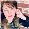 About Gold Digger Song