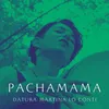 About Pachamama Song