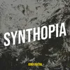 About Synthopia Song
