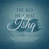 About Dil Ko Hua Hai Ishq Song