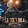 About La Felinada (En Vivo) Song