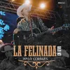 La Felinada (En Vivo)