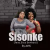 About Sisonke Song