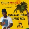 About Gwaan and Left Mi Song