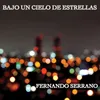 About Bajo Un Cielo De Estrellas Song