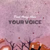 Your Voice