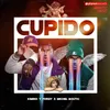 About Cupido Song