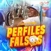 About Perfiles Falsos Song